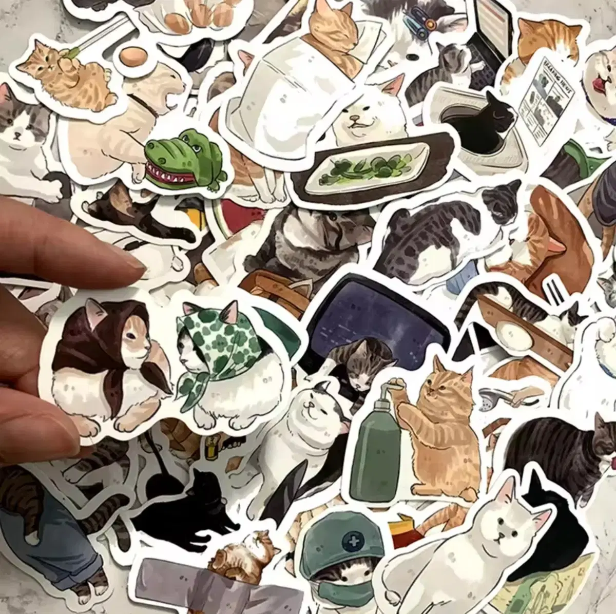 thumbnail-6
